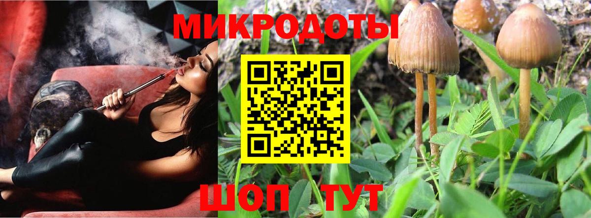 Псилоцибиновые грибы Cubensis Воткинск